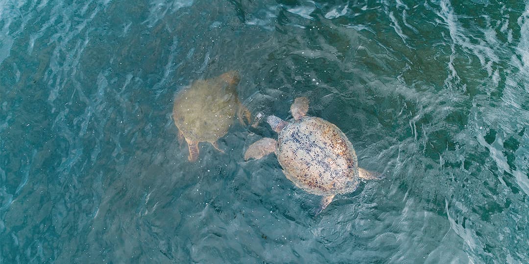 Manuel Antonio National Park