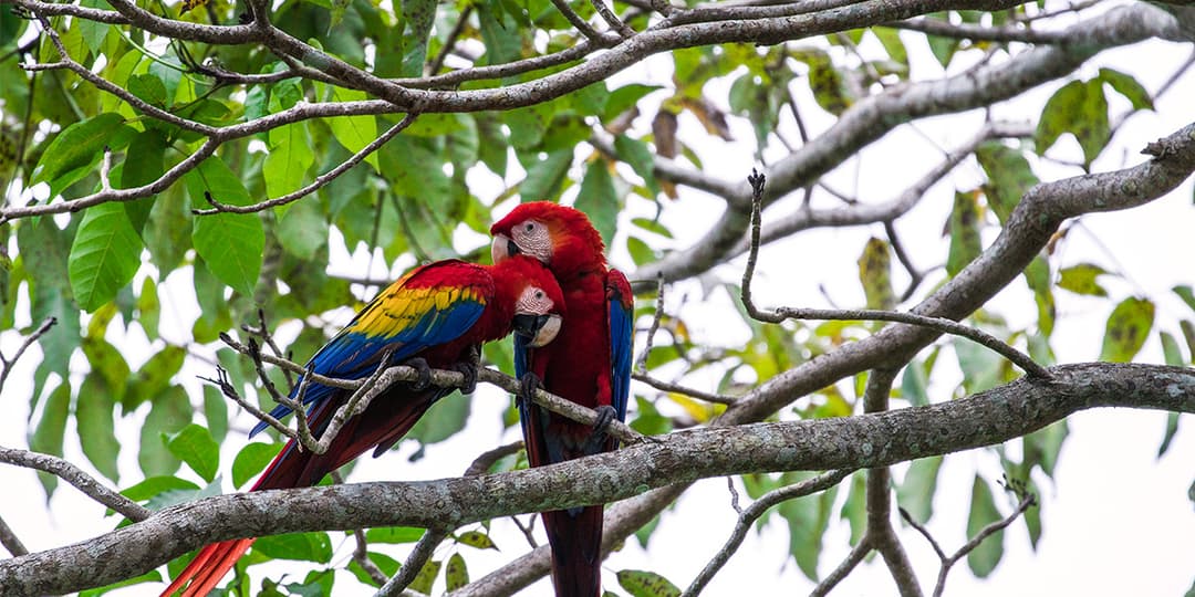 Manuel Antonio National Park