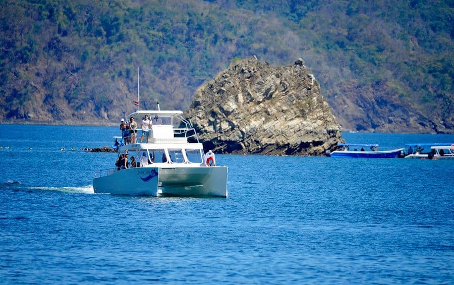 39′ Catamaran Party Boat