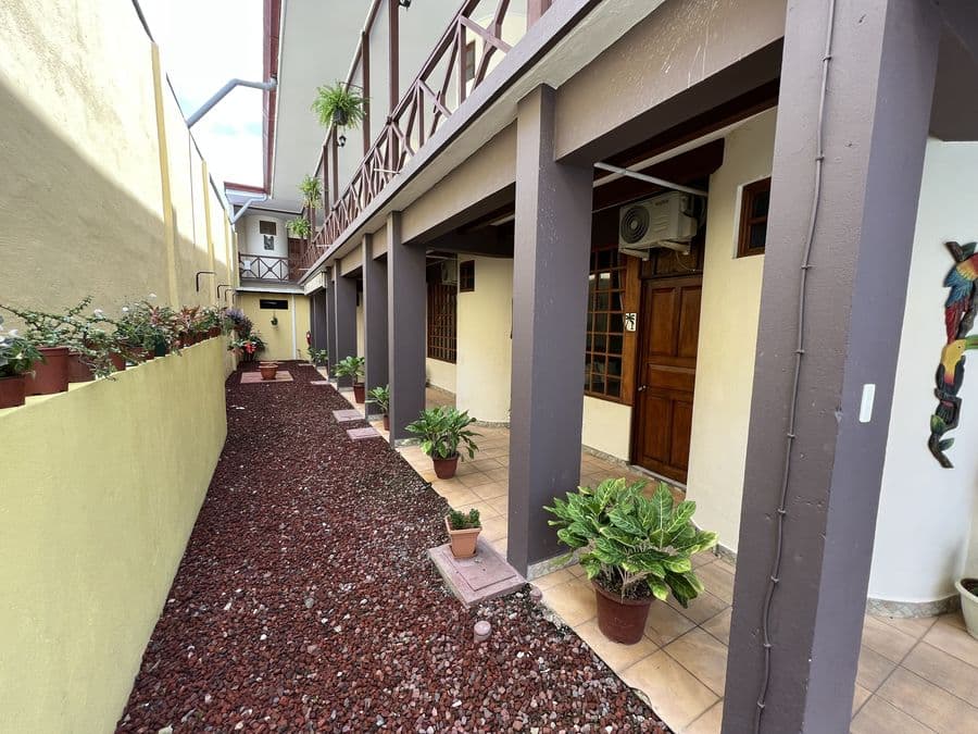 Jaco Oasis