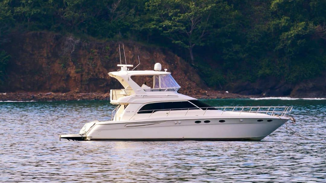 50′ Luxury Boat